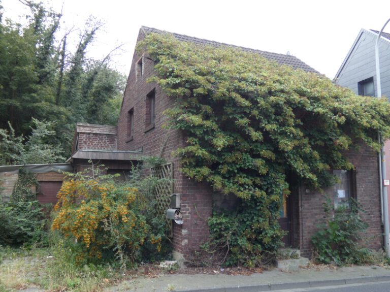 Haus in Dremmen