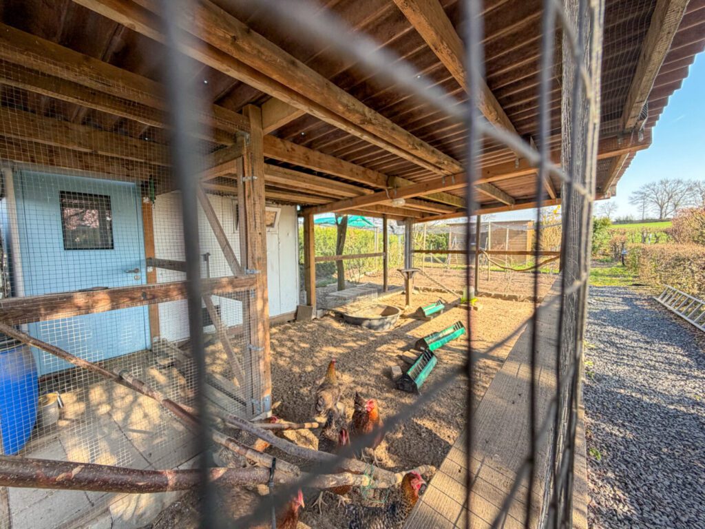 52 Hühnerstall