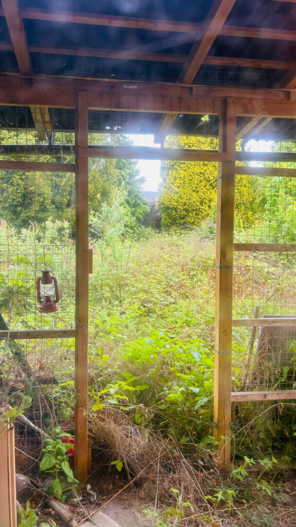 18 Garten