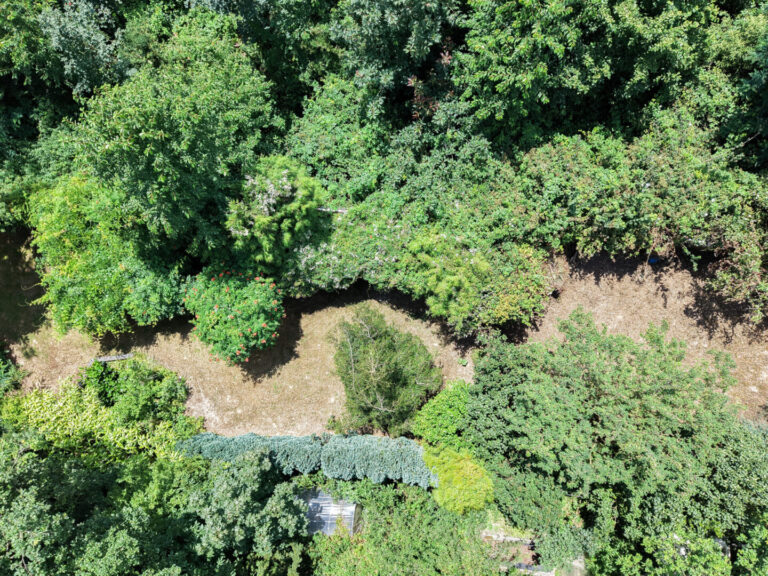 48 - Drohnenaufnahme Garten
